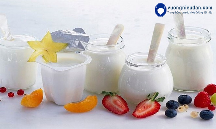 Sữa chua cung cấp một lượng lớn men vi sinh giúp kích thích quá trình tiêu hóa