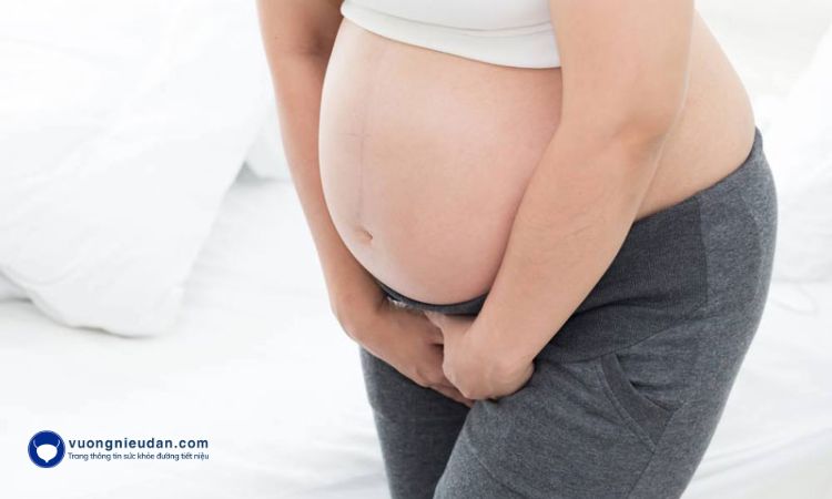 Phụ nữ có thai thường tăng số lần đi tiểu một ngày