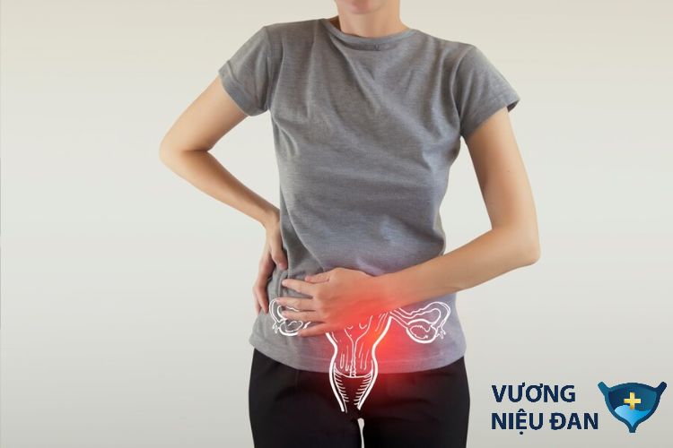 Viêm bàng quang có thể gây ra chứng đi tiểu nhiều lần kèm đau bụng dưới ở nữ